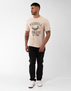 Russell Athletic Screaming Eagle T-shirts Herren Grau | RBGODZM-96